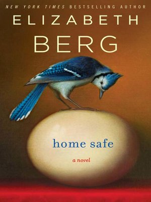 cover image of Home Safe